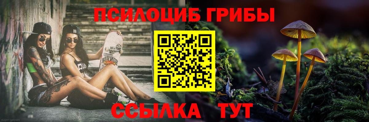Нижнеудинск  Галлюциногенные грибы мицелий  Псилоцибиновые грибы мицелий  где найти   Вход с VPN 